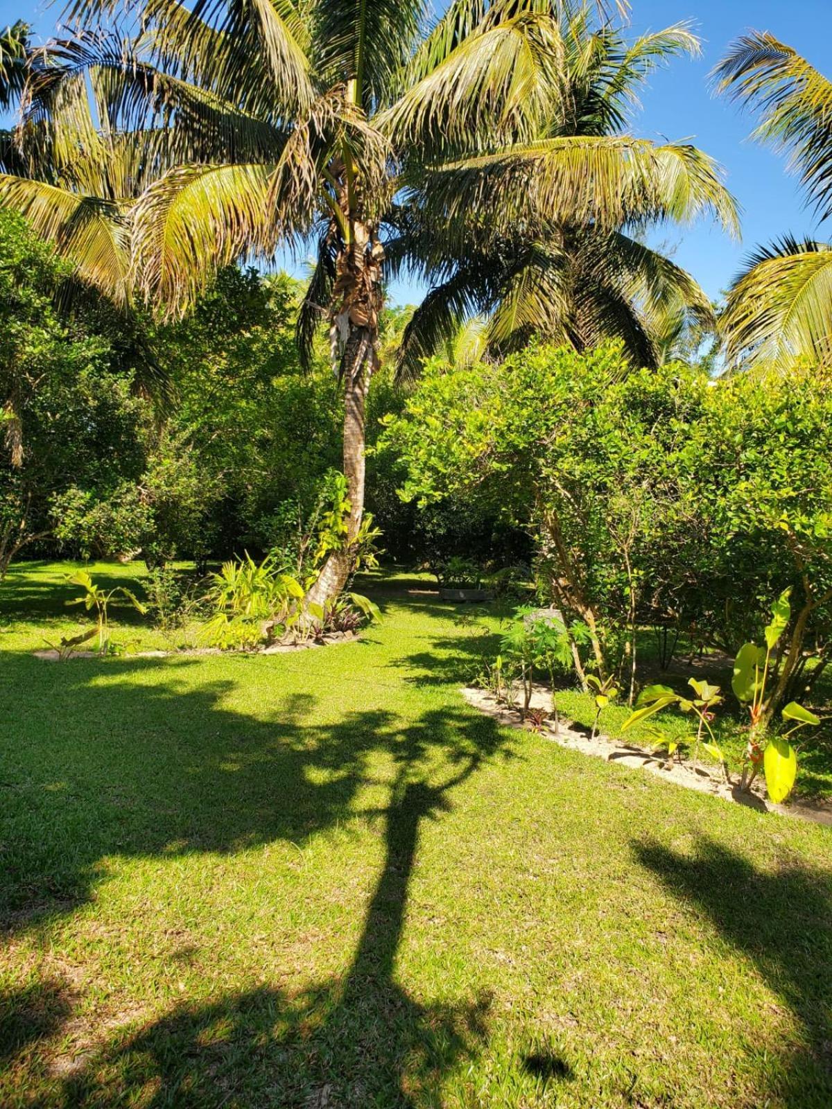 Bed and Breakfast Les Citronniers Ile Sainte-Marie Exterior foto